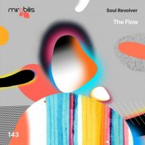 Soul Revolver – The Flow