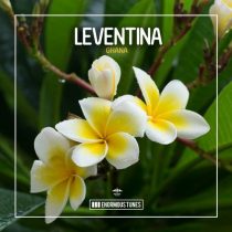 Leventina – Ghana