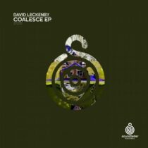 David Leckenby – Coalesce