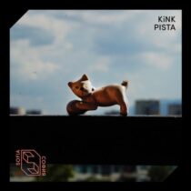 Kink – Pista