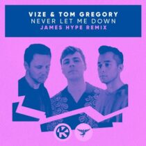 Vize, Tom Gregory – Never Let Me Down (James Hype Extended Remix)