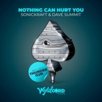 Dave Summit, Sonickraft – Nothing Can Hurt You