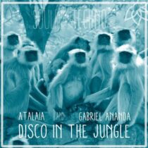 Gabriel Ananda, AtalaiA – Disco In The Jungle