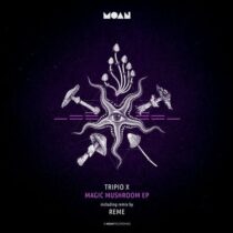 Tripio X – Magic Mushroom