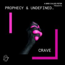 Prophecy, undefined., Prophecy, undefined. – Crave (Extended Mix)