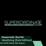 Nae Tek & Deeperwalk – Idealizing ( Dub Edition )