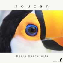 Dario Cantarella – Toucan