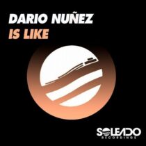Dario Nuñez – Is Like