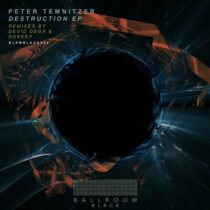 Peter Temnitzer – Destruction