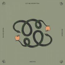 Biscits – Let Me Show You