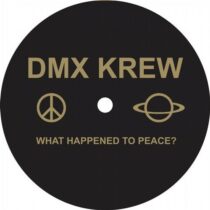 DMX Krew – What Happened to Peace?