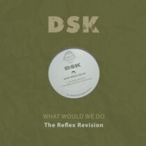 DSK, The Reflex – What Would We Do – the Reflex Revision