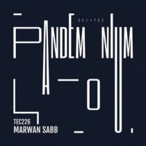 Marwan Sabb – Pandemonium – Pt. 2