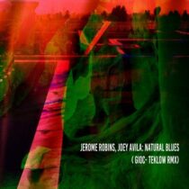 Jerome Robins, Joey Avila – Natural Blues (Gioc , Teklow Rmx)