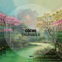 Cocho – Calendula