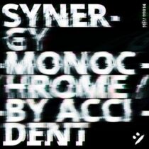 Synergy – Monochrome By Accident