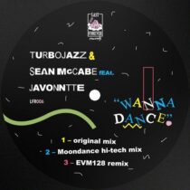 Turbojazz, Sean McCabe, Javonntte – Wanna Dance