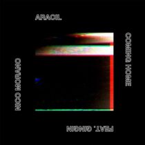 Nico Morano & Aracil feat. GinGin – Coming Home