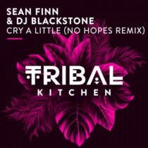 DJ Blackstone, Sean Finn – Cry A Little (No Hopes Remix)