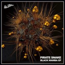 Pirate Snake – Black Mamba