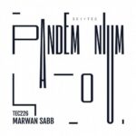 Marwan Sabb – Pandemonium – Pt. 1