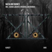 Natalino Nunes – Bird