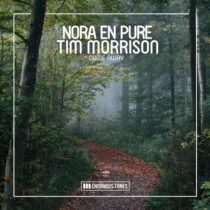 Nora En Pure, Tim Morrison – Come Away