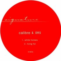 Calibre, DRS – white horses / living for