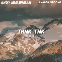 Andy Immerman – Avalon Groove