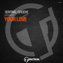 Sentinel Groove – Your Love