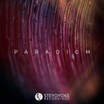 VA – Steyoyoke Paradigm, Vol. 08