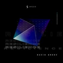 David Greev – Resilience