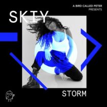 SKIY – Storm (Extended Mix)