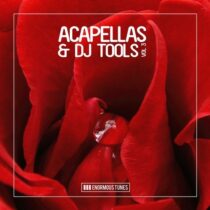VA – Enormous Tunes – Acapellas & DJ-Tools, Vol. 3