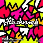 Flashmob, Kevin Knapp – Who (Flashmob 2020 Remix)