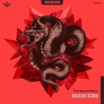 The Second Wave – Fallen Star
