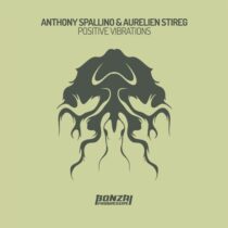 Anthony Spallino & Aurelien Stireg – Positive Vibrations
