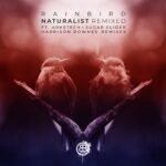 Rainbird – Naturalist Remixed