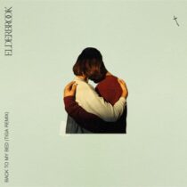 Elderbrook – Back To My Bed (Tiga Remix)