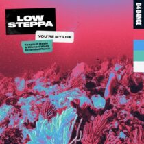 Low Steppa – You’re My Life (Keepin It Heale & Michael Walls Remix)