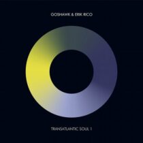 Goshawk, Erik Rico – Transatlantic Soul 1