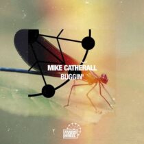 Mike Catherall – Buggin’