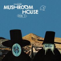 Daniel Haaksman, Spoek Mathambo, Los Bulldozer – Kapote Presents Mushroom House Vol. 1