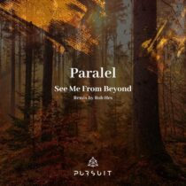 PARALEL – See Me from Beyond