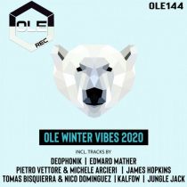 VA – Ole Winter Vibes 2020