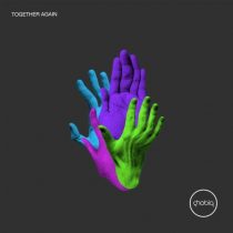 VA – Together Again