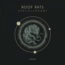 Roof Rats – Spacelephant