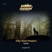City Soul Project – Wolfy