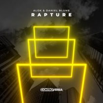Alok, Daniel Blume – Rapture (Extended Mix)