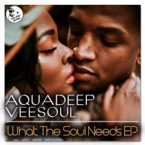 Veesoul, Aquadeep, Craig – What The Soul Needs EP (feat. Craig)
